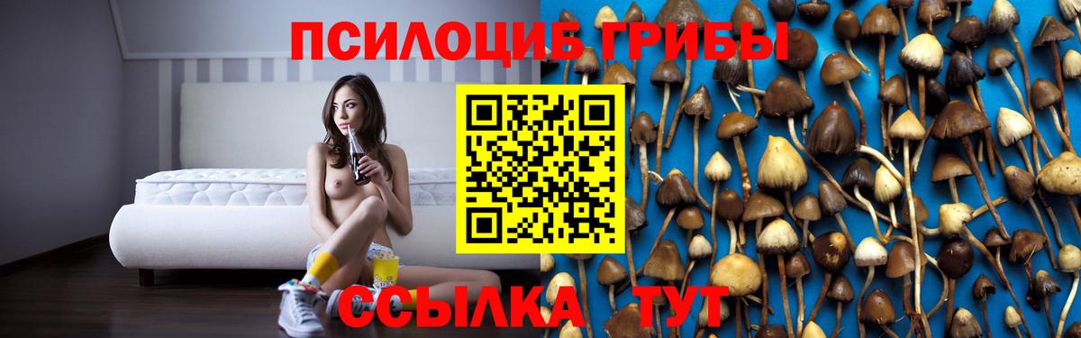 Галлюциногенные грибы Psilocybe Воронеж