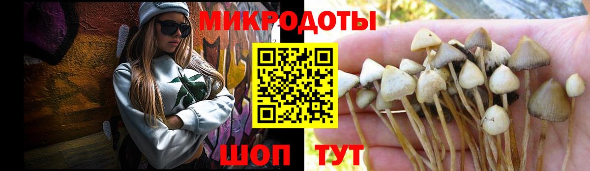 Воронеж  Псилоцибиновые грибы Magic Shrooms  закладка  Псилоцибиновые грибы прущие грибы  Вход с VPN 